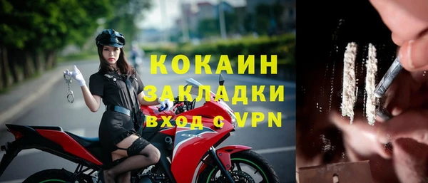 прущие грибы Армянск