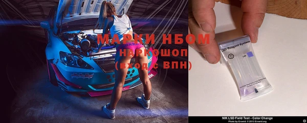 прущие грибы Армянск