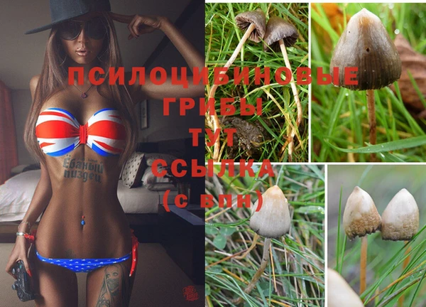 мяу мяу мука Арсеньев