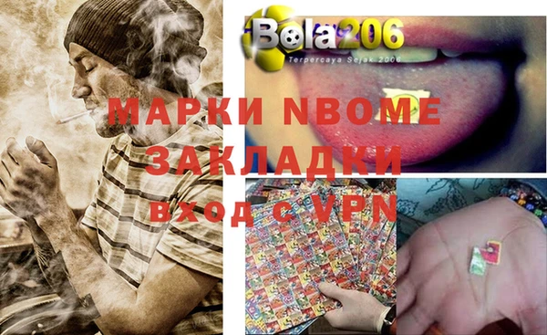 стаф Балахна