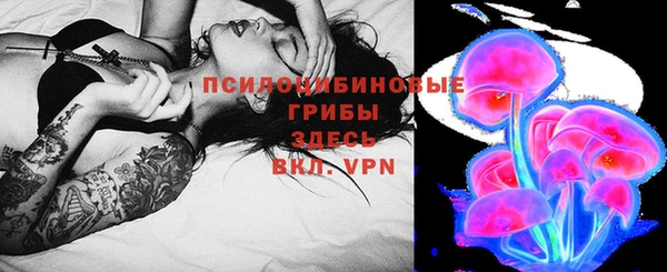 стаф Балахна
