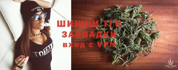прущие грибы Армянск