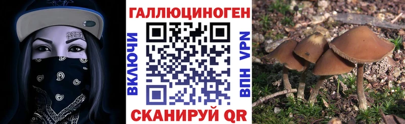hydra зеркало  Карабаш  Галлюциногенные грибы Psilocybine cubensis 
