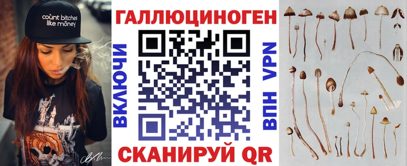 Псилоцибиновые грибы Psilocybe Карабаш